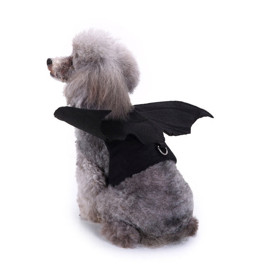 Small dog wearing a black bat wing Halloween costume