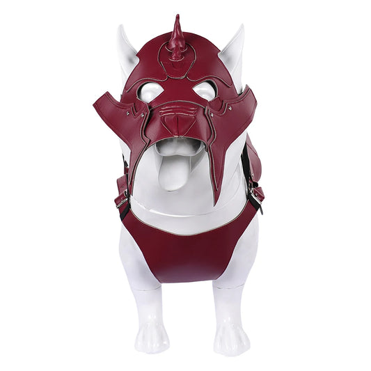 Dog & Cat Battle Cosplay Costume – Funny Pet Warrior Vest & Mask Outfit