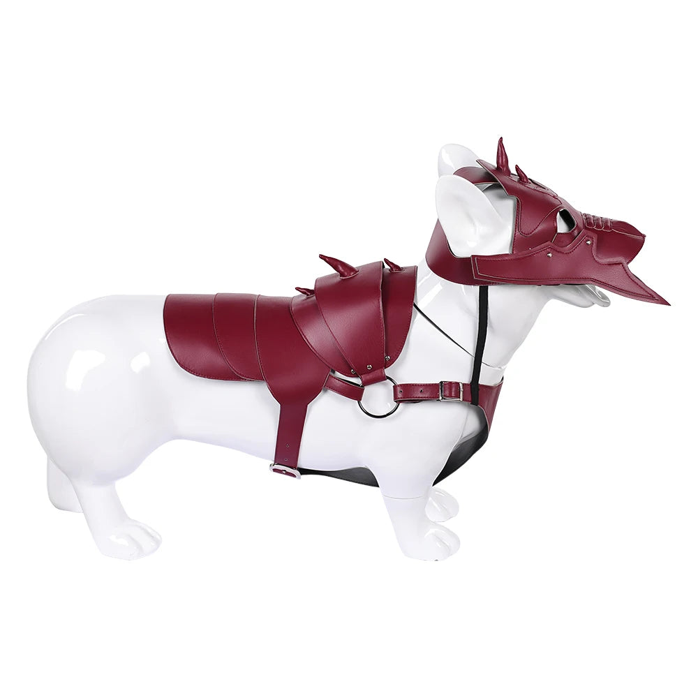 Dog & Cat Battle Cosplay Costume – Funny Pet Warrior Vest & Mask Outfit
