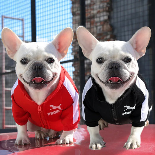 Baseball Dog Jacket – Warm Winter Coat for Small & Medium Dogs