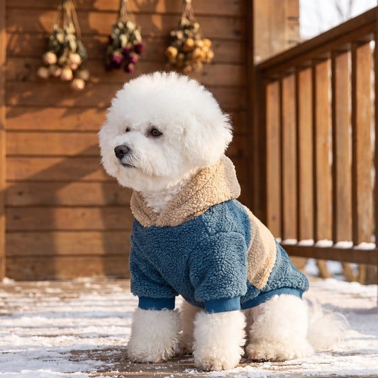Color-Block Lambskin Hooded Dog Jacket – Warm Winter Coat for Small Dogs