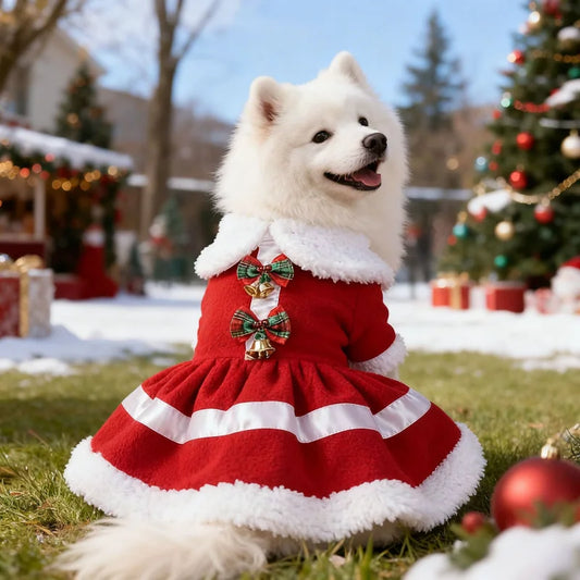 Red Christmas Dress for Small Dogs – Snowflake Print with White Trim