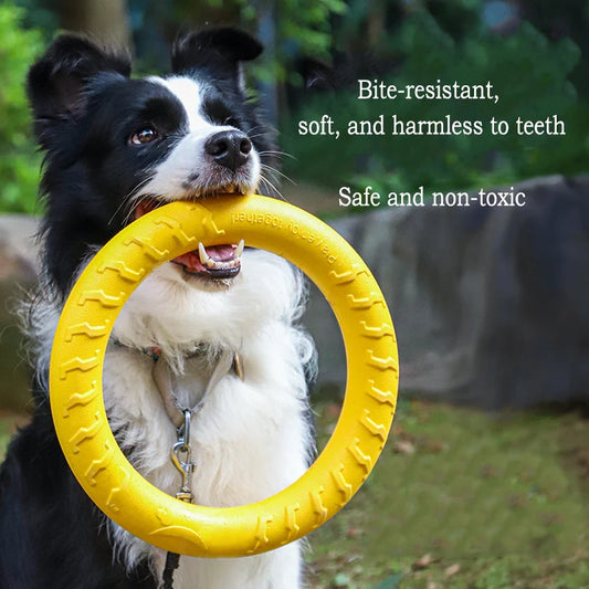 4-Pack Durable Dog Toys – Flying Disc, Ball & Tug Rope Set for Puppies & Dogs