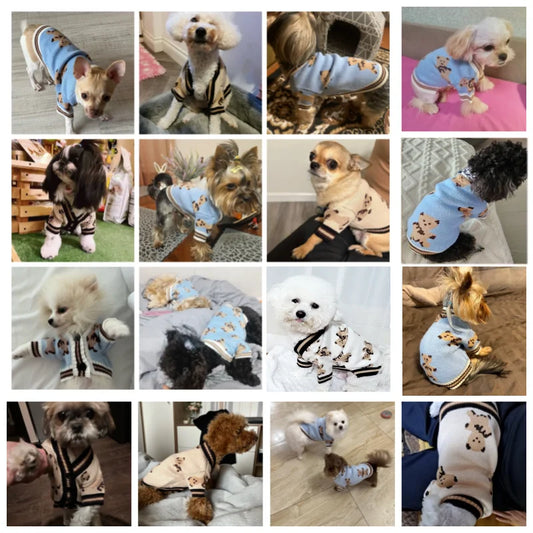 Striped Knit Sweater for Small Dogs & Cats – Cozy Winter Cardigan