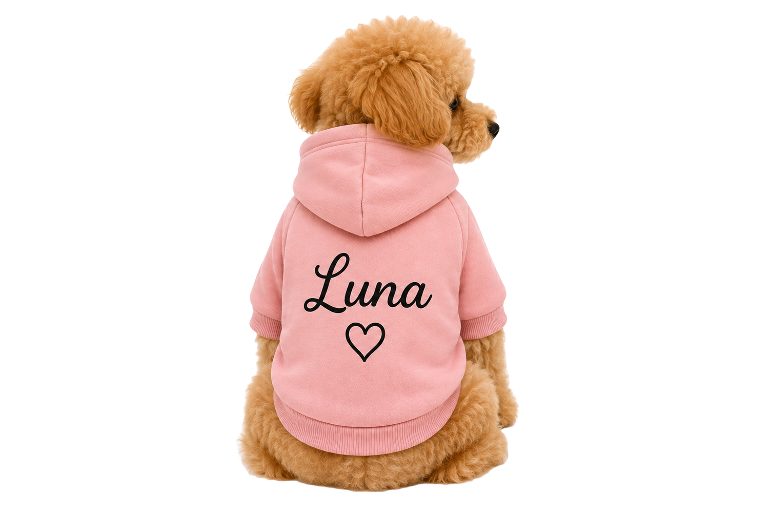 Apparel