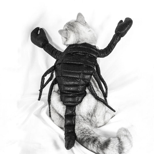 Black scorpion Halloween costume for dogs and cats