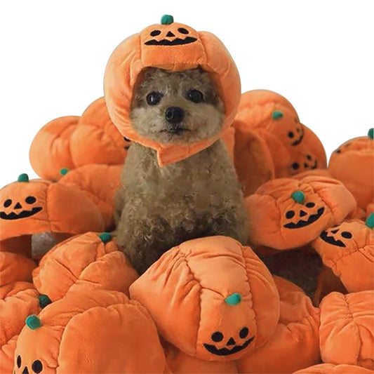 Pet wearing a plush orange pumpkin hat for Halloween