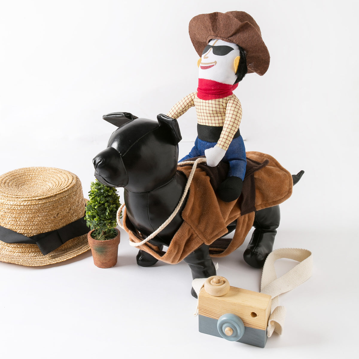 Cute dog wearing a cowboy costume with western riding accessories