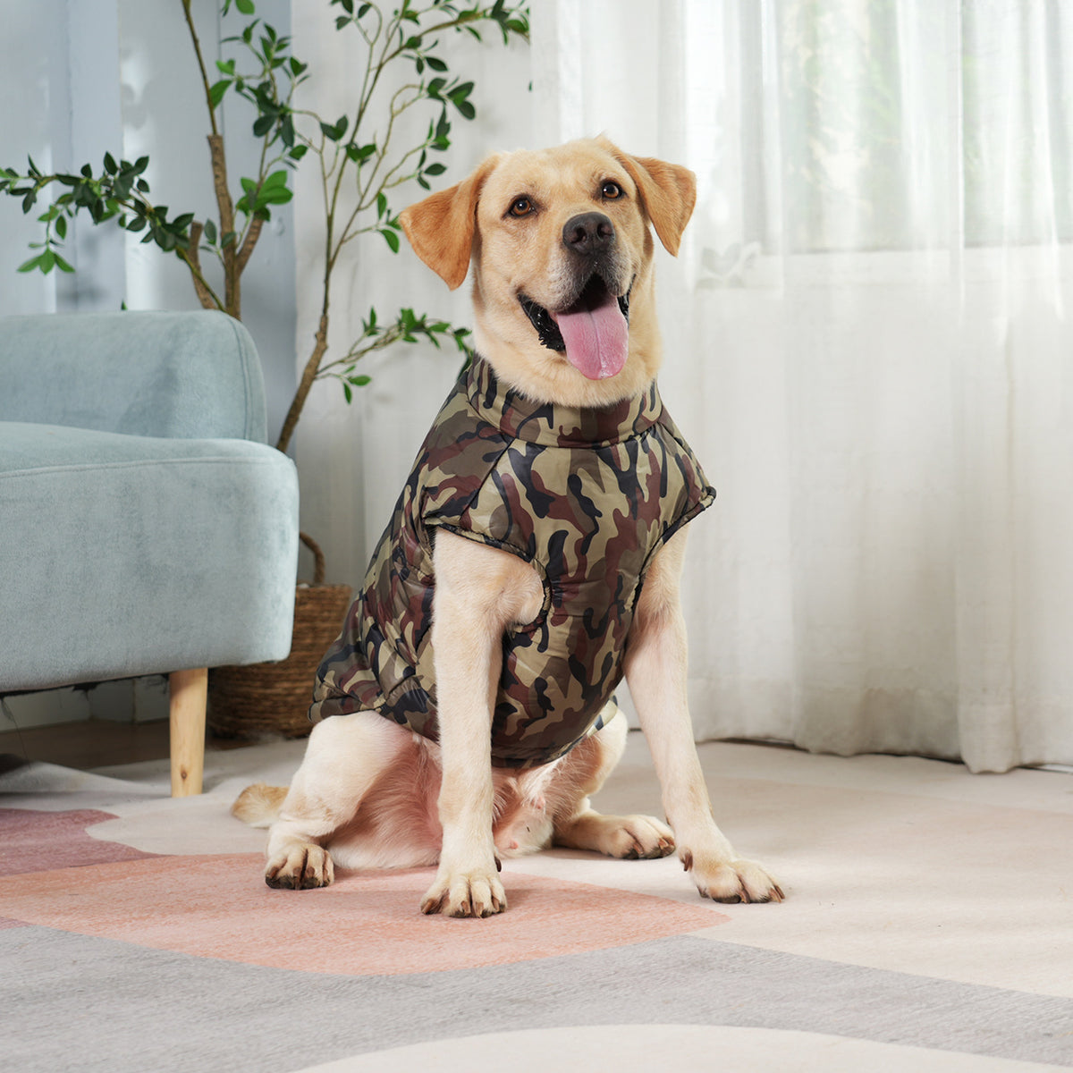 Large dog wearing a camouflage polyester shirt with multiple camo color options
