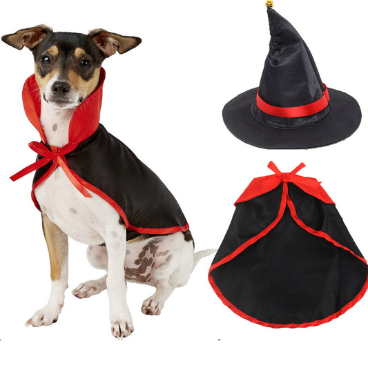 dog wearing a black-and-red vampire cape Halloween costume
