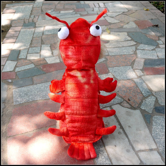 Small pet wearing a bright red lobster Halloween costume