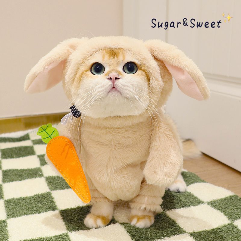 Cute rabbit costume with carrot for cats and dogs Halloween