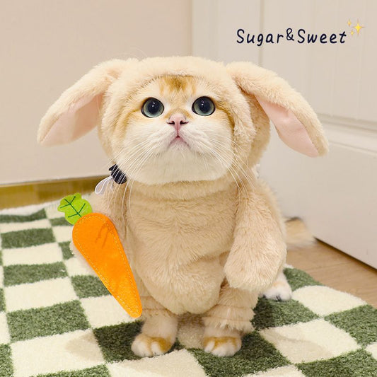 Cute rabbit costume with carrot for cats and dogs Halloween
