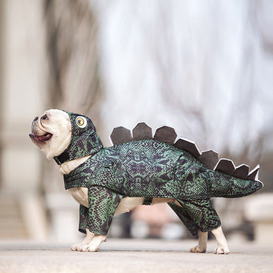 Small dog wearing a green dinosaur Halloween costume with back spikes