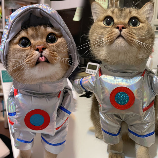 Cats wearing silver astronaut space suit Halloween costumes