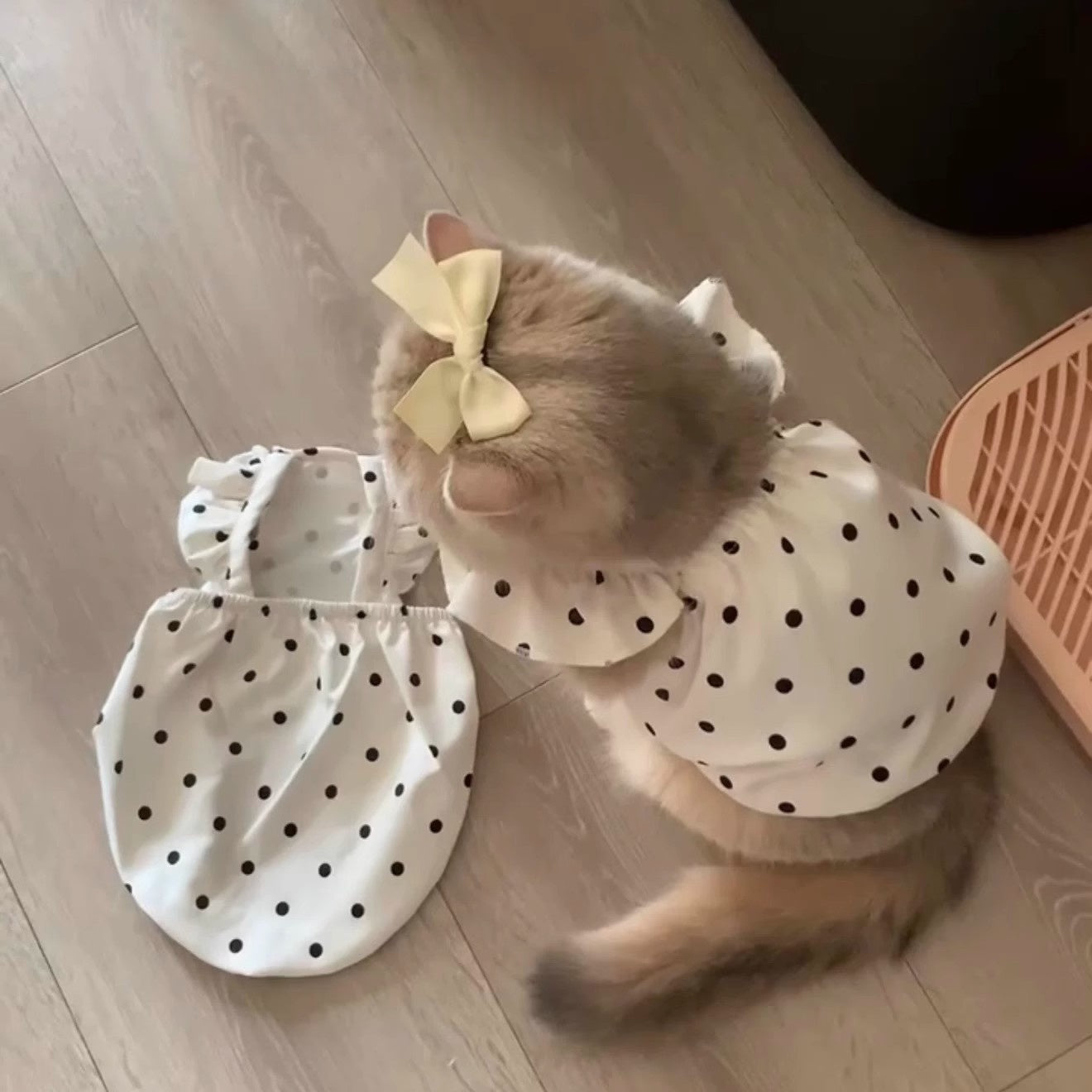 ad83c687ff6ea8c672bb452784902f7d