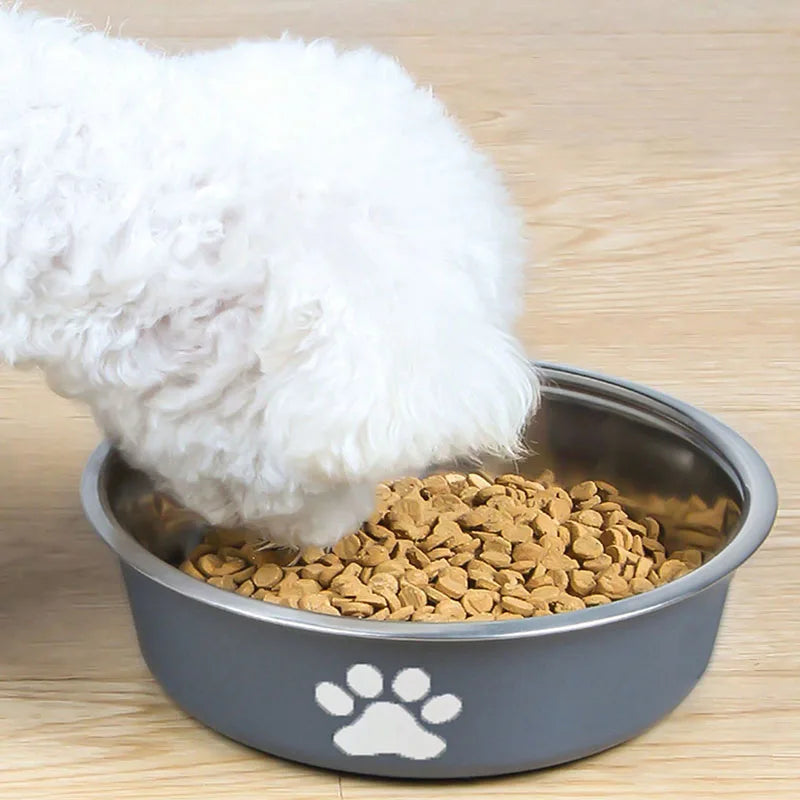 3-Piece Stainless Steel Pet Bowl Set for Dogs & Cats