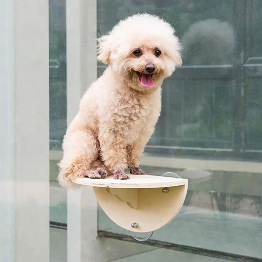 Cat using a wall-mounted window perch with climbing steps and play cups