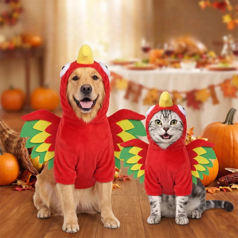 Dog wearing a funny 3D cartoon turkey pet costume