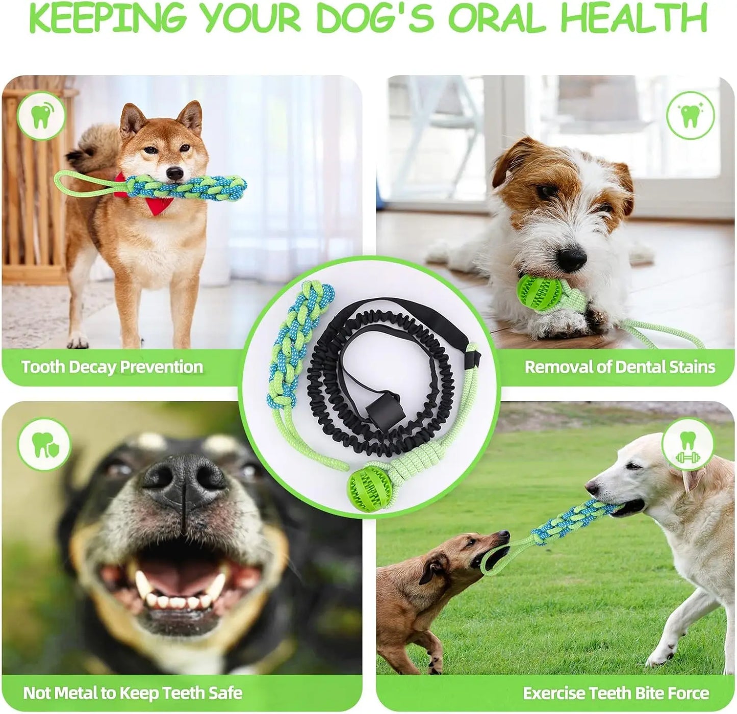 Spring Pole Dog Rope Toys, Dog Interactive Tether Tug of War Toy, Indoor/Outdoor Bungee Hanging Dogs Toy