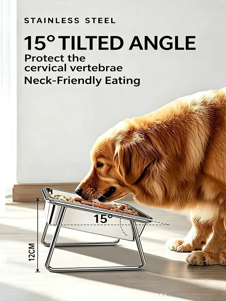Stainless Steel Double Pet Bowl with Raised Stand