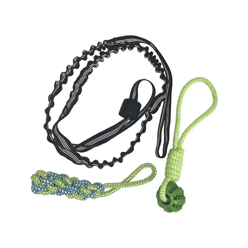 Spring Pole Dog Rope Toys, Dog Interactive Tether Tug of War Toy, Indoor/Outdoor Bungee Hanging Dogs Toy