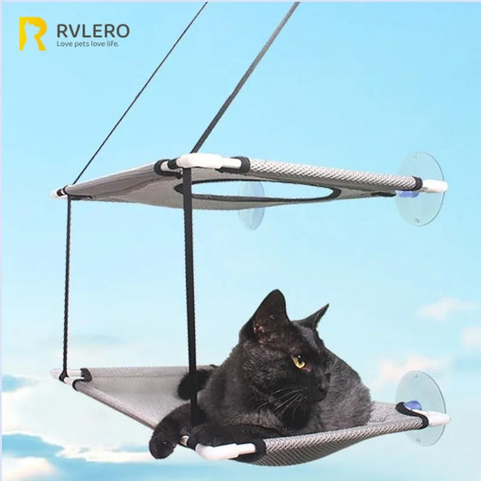 Black cat relaxing on a double-decker suction cup window hammock