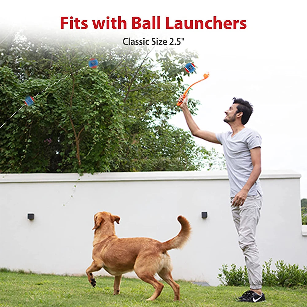 2pcs Pet Dog Squeaky Toys Ball Tennis Ball Interactive Dog Toys High Bounce Sound Rubber Ball for Dog Training Outdoor Play Ball