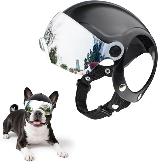 Small dogs wearing motorcycle-style pet helmets with reflective visors