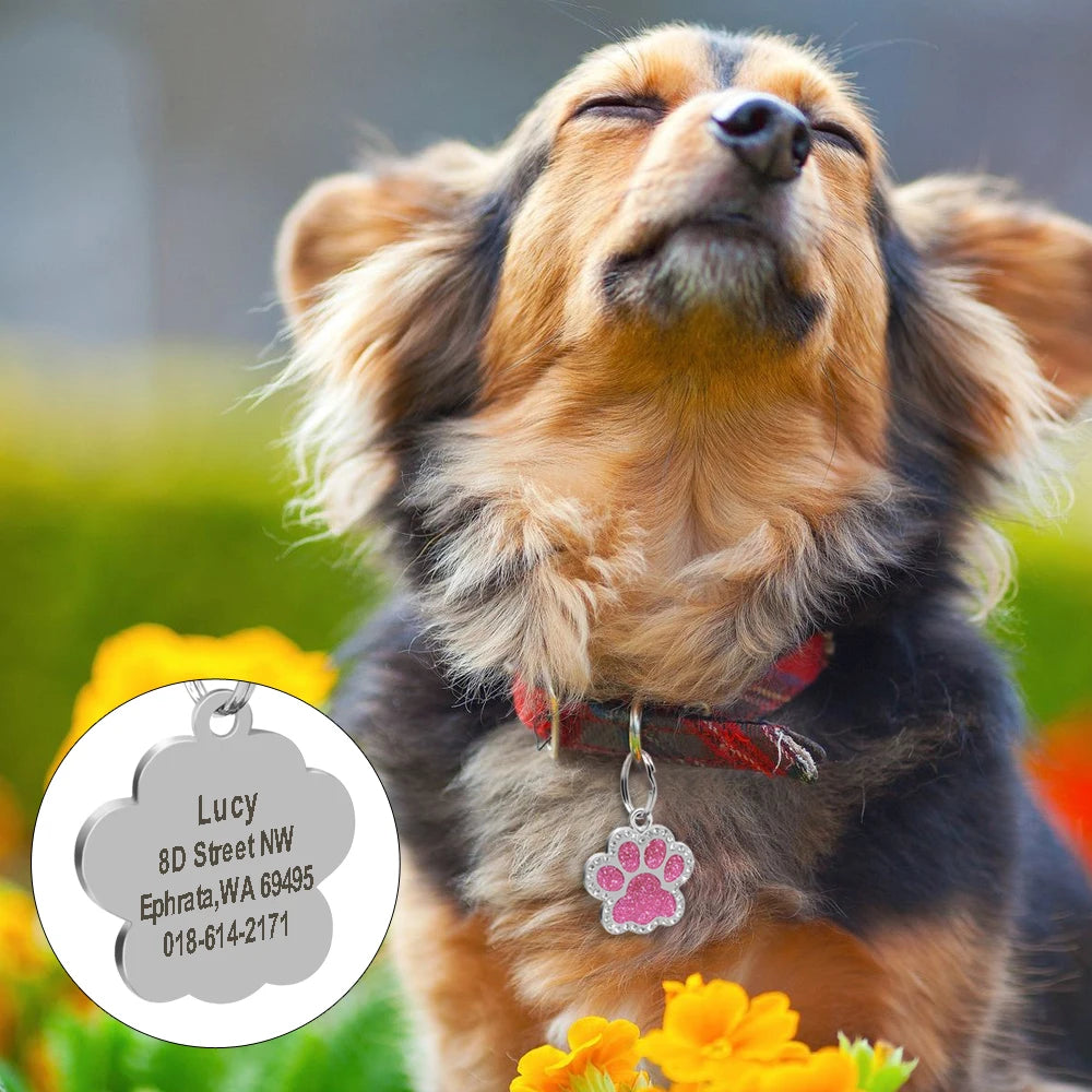 Personalized Paw Print Pet ID Tag – Custom Dog & Cat Collar Tag