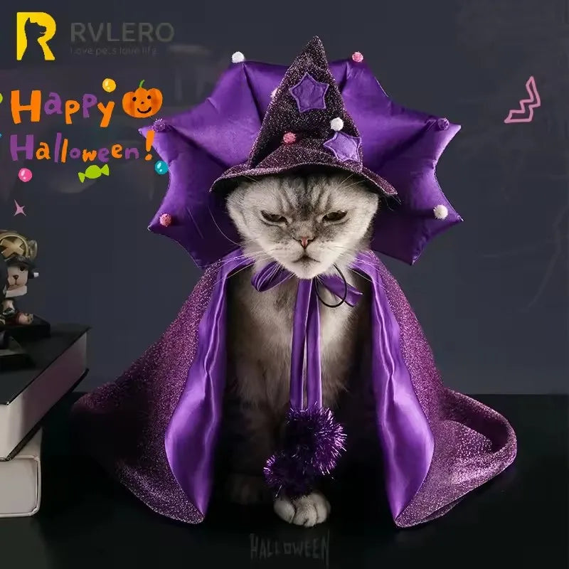 Pet wearing a purple witch cloak Halloween costume