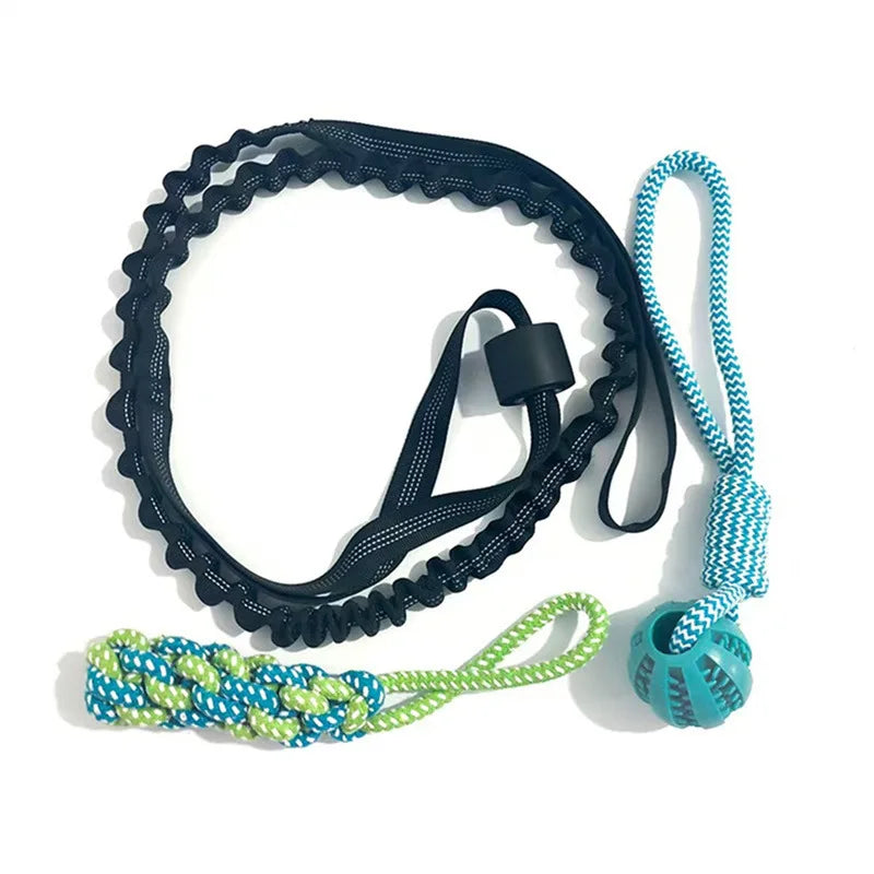 Spring Pole Dog Rope Toys, Dog Interactive Tether Tug of War Toy, Indoor/Outdoor Bungee Hanging Dogs Toy