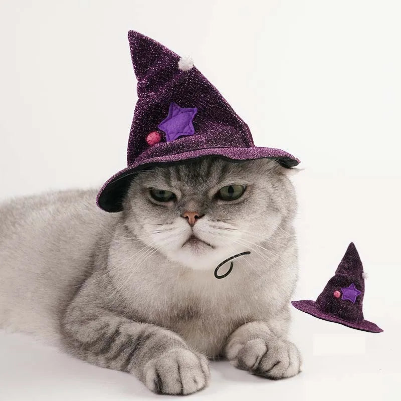Purple Witch Cloak for Dogs & Cats – Cute Halloween Pet Costume