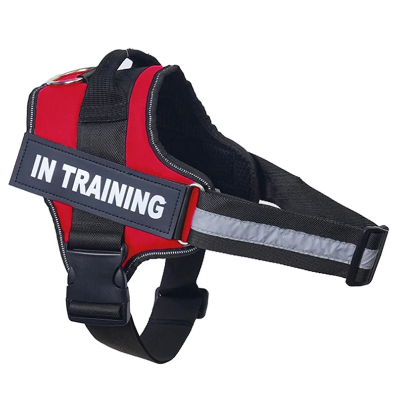 Customized Dog Harness Personalized Reflective Pet Harness For Small Medium Large Dogs Breathable Mesh Pad Dog Harness No Pull