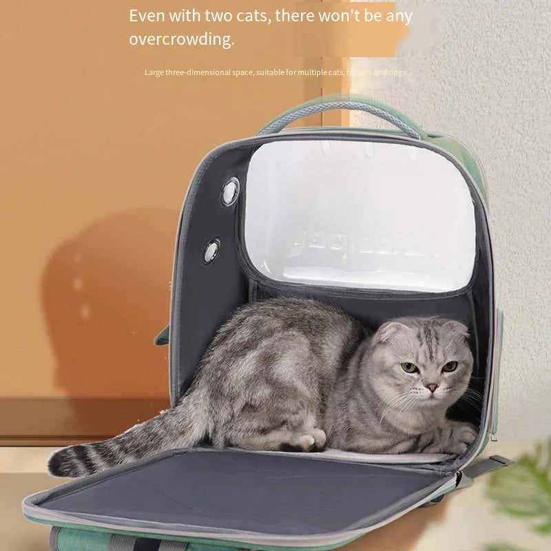 2026 New Outdoor Outing Bag Large Capacity Transparent Puppy Cat Pet Backpack Large Shoulder Cat Bag