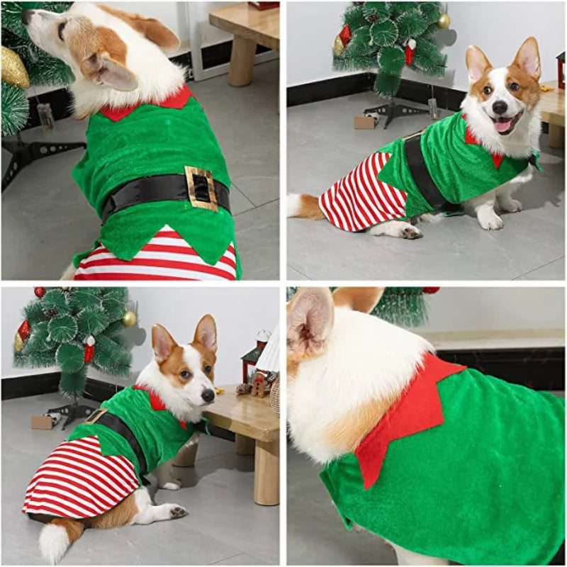 Christmas Elf Costume for Dogs & Cats – Cute Holiday Pet Dress-Up Outfit