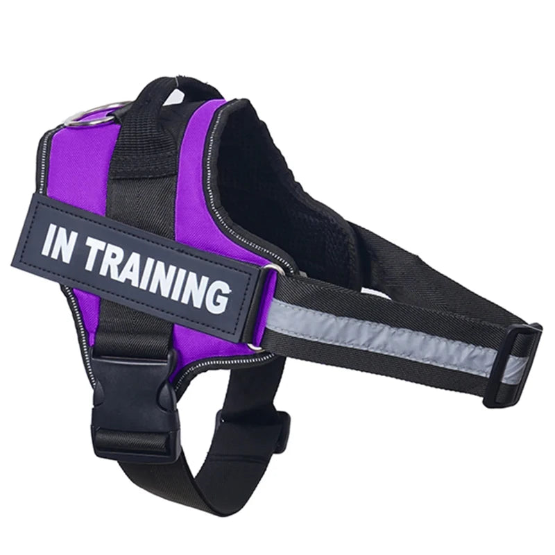 Customized Dog Harness Personalized Reflective Pet Harness For Small Medium Large Dogs Breathable Mesh Pad Dog Harness No Pull