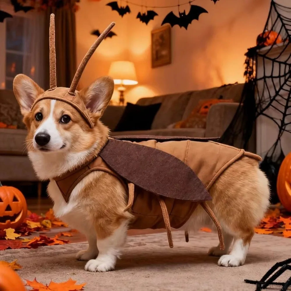 Realistic Cockroach Pet Costume – Funny Halloween Bug Costume for Dogs & Cats