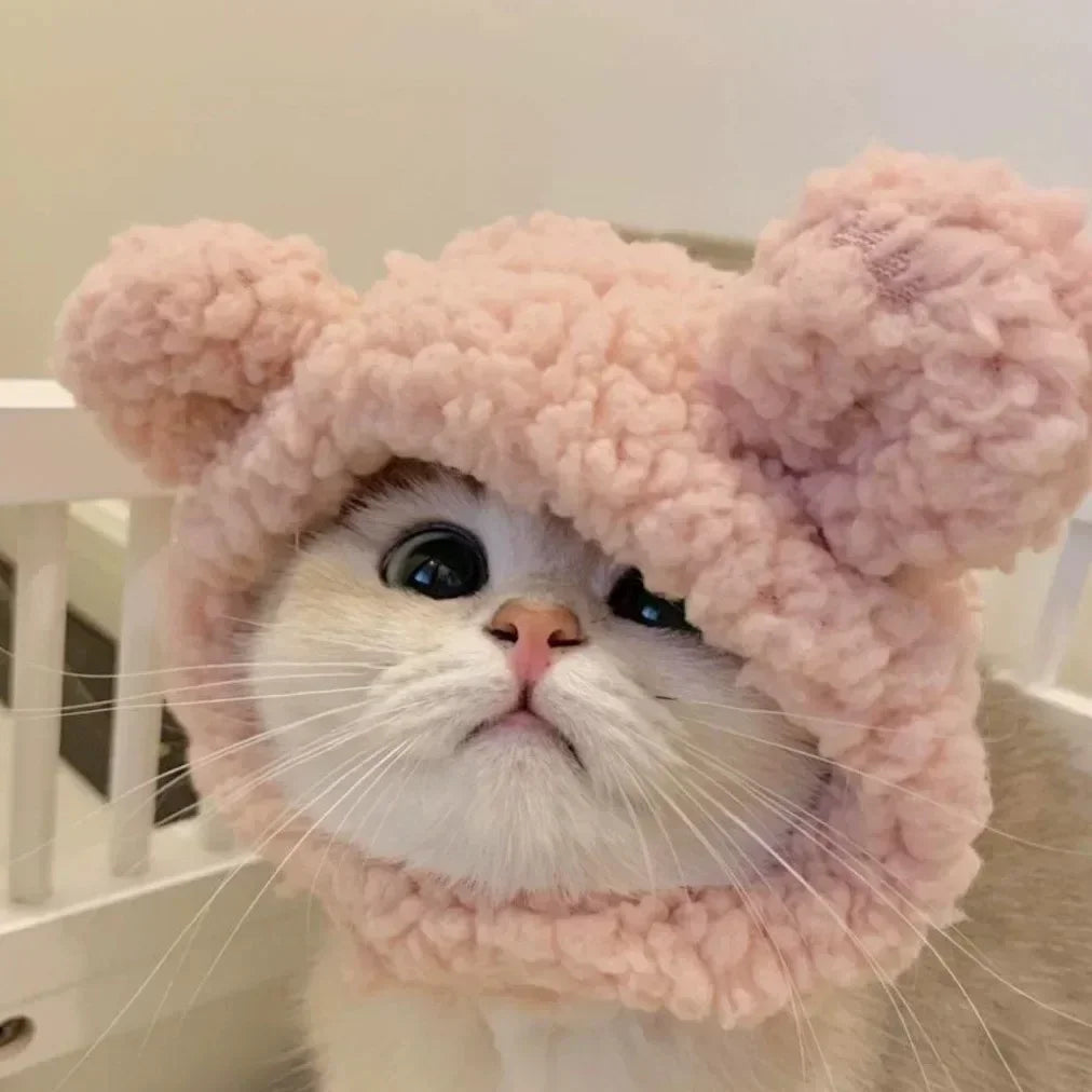 Funny Cat Cap Bear Plush Head Cover Cute Cat Dog Woven Warm Headdress Pet Hat Kitten Puppy Cosplay Costume Accessories