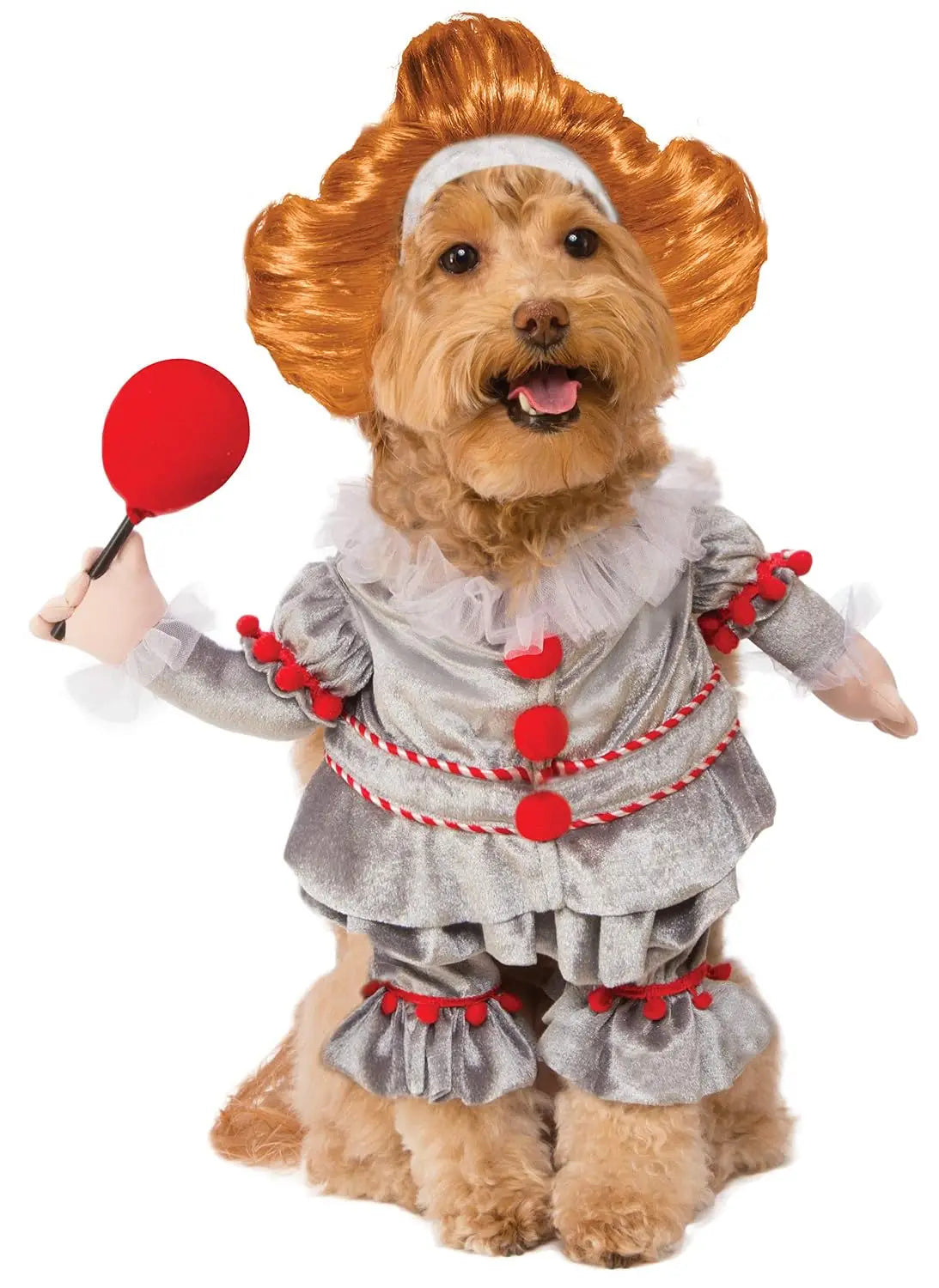 Pet wearing a Pennywise-inspired creepy clown Halloween costume