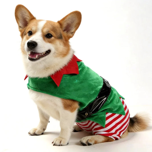 Christmas Elf Costume for Dogs & Cats – Cute Holiday Pet Dress-Up Outfit