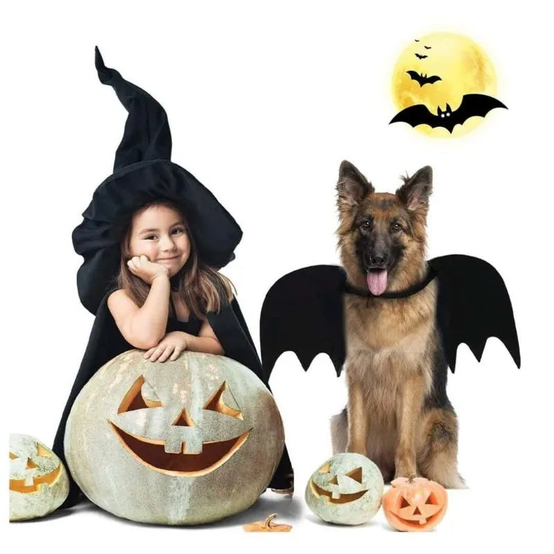 Halloween Bat Wings for Dogs & Cats – Felt Pet Costume Accessory