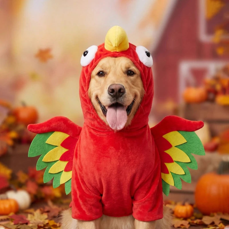 3D Turkey Pet Costume for Dogs & Cats – Funny Thanksgiving & Halloween Outfit