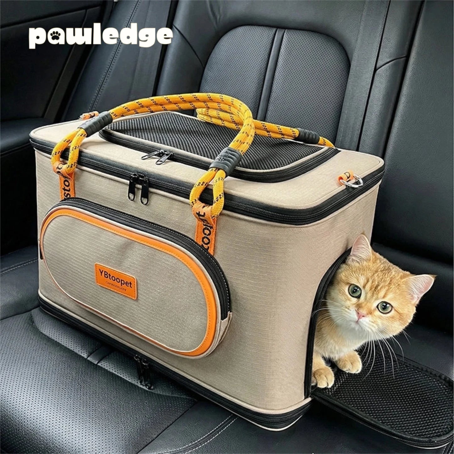 Outdoor Pet Carrier Bag, Water-Resistant Breathable Large Capacity Handbag, Convertible Leash Tote for Cats and Small Dogs