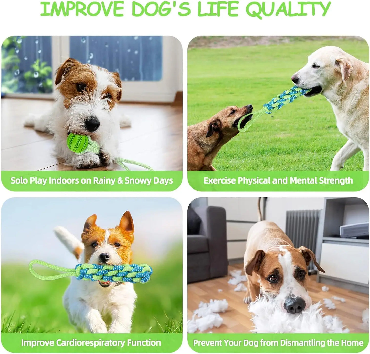 Spring Pole Dog Rope Toys, Dog Interactive Tether Tug of War Toy, Indoor/Outdoor Bungee Hanging Dogs Toy