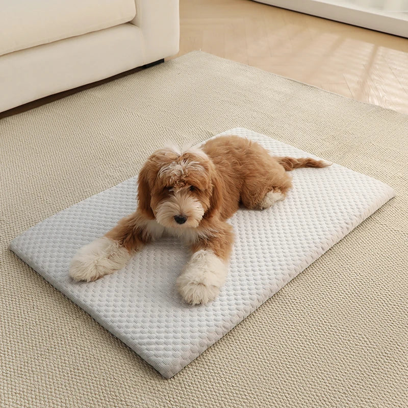 Summer Cooling Mat for Dogs