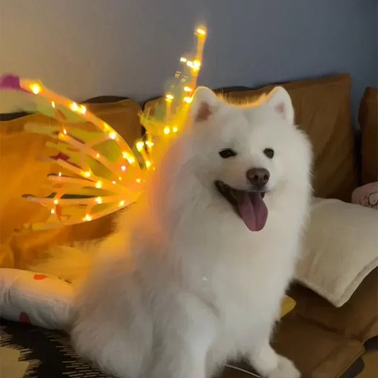 Glowing Butterfly Wings Costume for Dogs