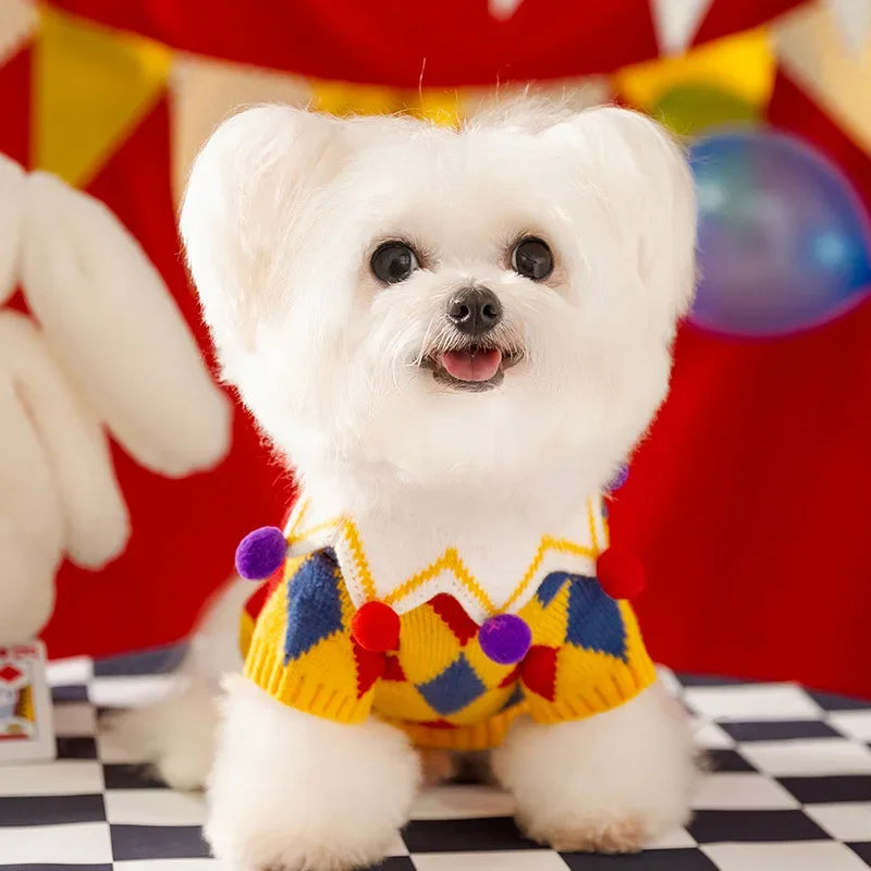 Funny Clown Dog Sweater – Halloween Costume & Cute Pet Dress-Up Outfit
