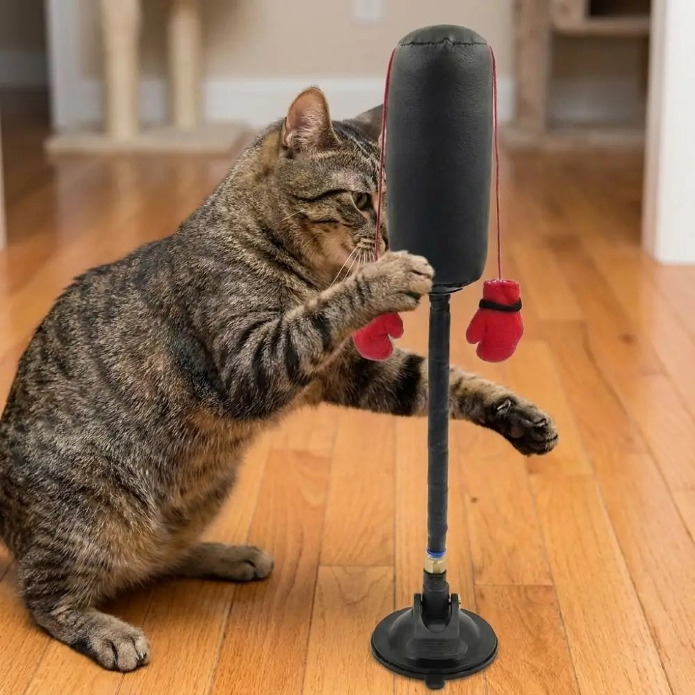 Suction Cup Cat Boxing Toy Scratch Trainer Self-standing Interactive Cat Toy Scratch Resistant Bite Resistant
