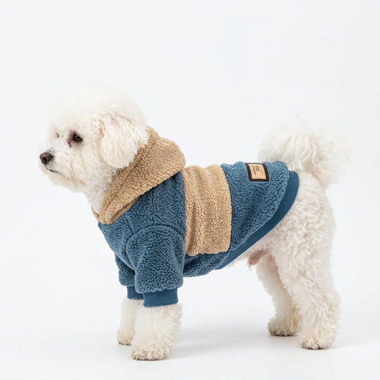 Small white dog wearing a blue and tan color-block hooded winter pet jacket